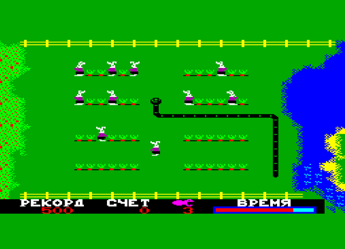 Сура ПК8000. Компьютер и жизнь сообщества разработчиков спустя почти 40 лет