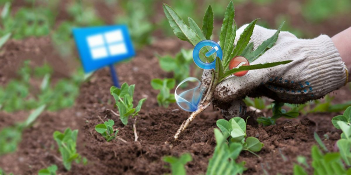 6 ненужных программ в Windows 10, которые следует удалить