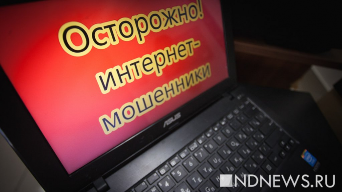 Россиян предупредили о популярных «новогодних» схемах обмана