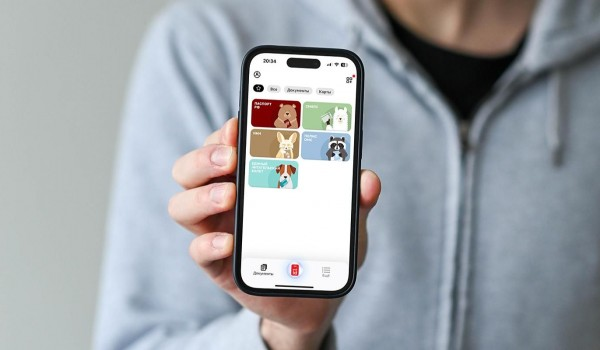 Новые функции появились в мобильном приложении «Мой id»