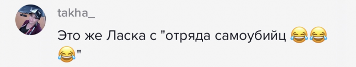 Демонический кот блогерши настолько лохмат, что выглядит как Ласка из «Отряда самоубийц»