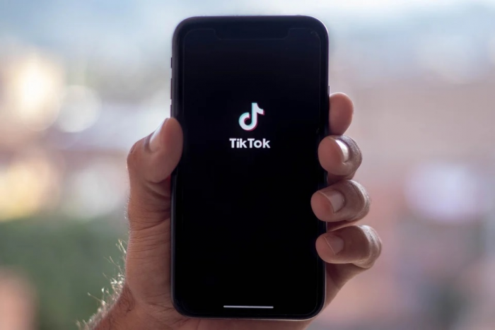 От Apple и Google требуют противодействия TikTok