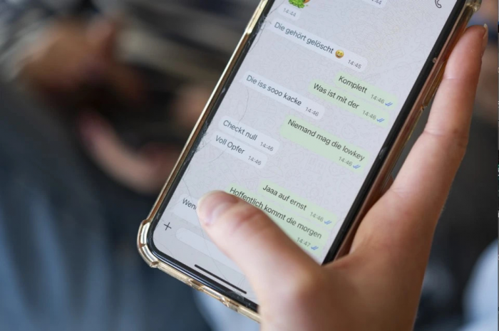 WhatsApp* пугает русских. Нужны особые данные