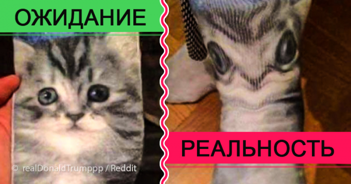 Ожидание vs. реальность: 15 случаев, которые насмешили нас до коликов в животе