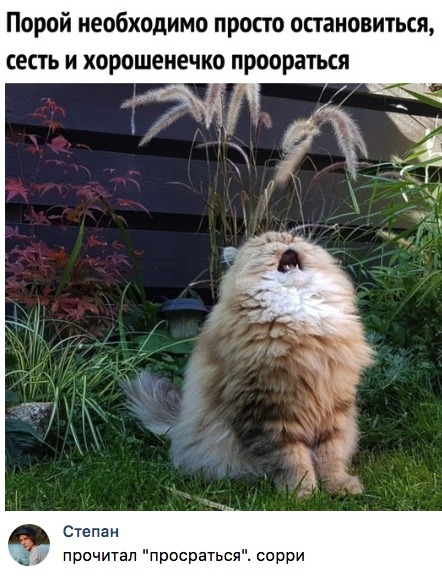 Скриншоты из социальных сетей. Часть 652 (39 фото)