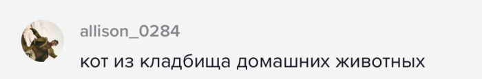 Демонический кот блогерши настолько лохмат, что выглядит как Ласка из «Отряда самоубийц»