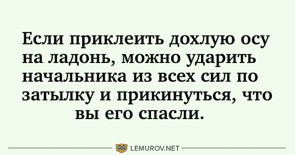 Новая осенняя подборка смешных анекдотов!