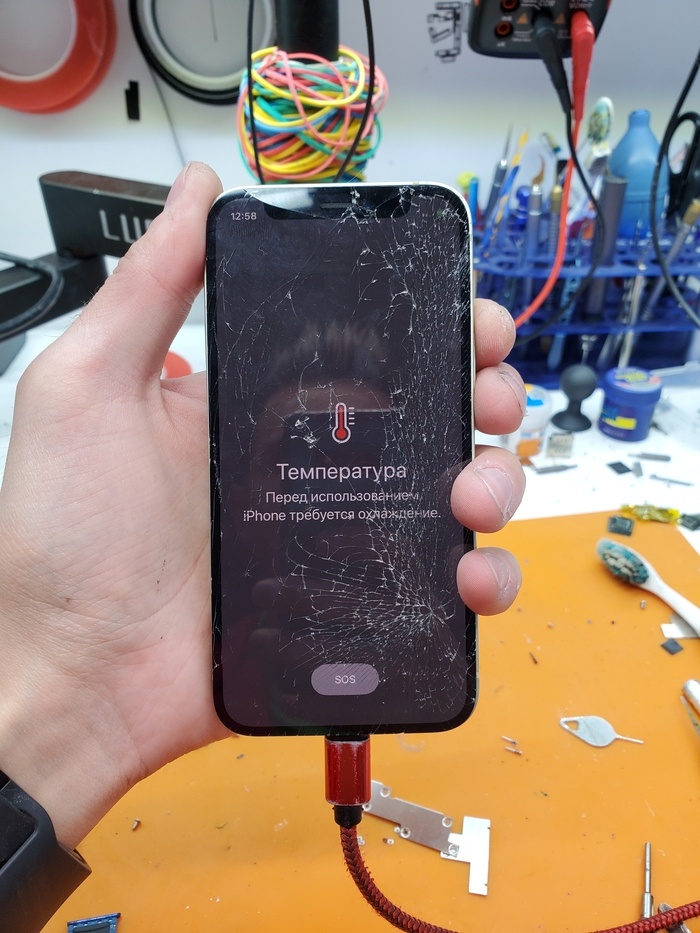 Частичный ремонт кусанного яблочка iphone 12 mini. Recovery data