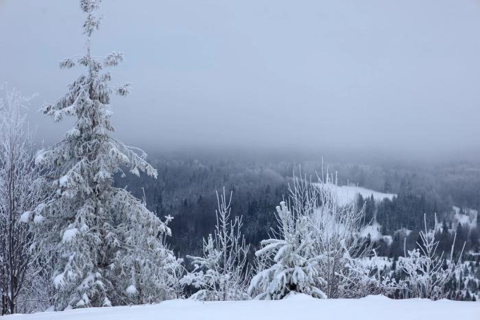 Ледяная маска или щит? Что скрывало отстраненное лицо Сергея Усольцева перед роковым походом в тайгу