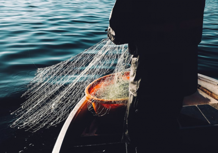 Как правильно выбрать рыболовные сети