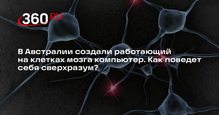 Эколог Рыбальченко: создать сверхразум пытаются лишенные морали ученые